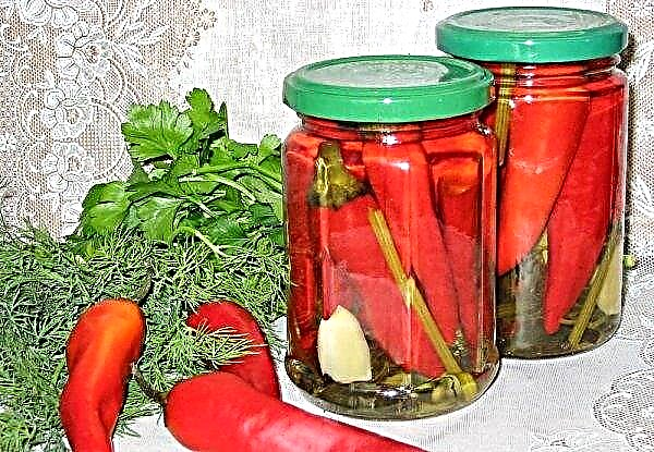 Ingeblikte hete pepers thuis: de beste recepten, stapsgewijs koken, nuttige aanbevelingen