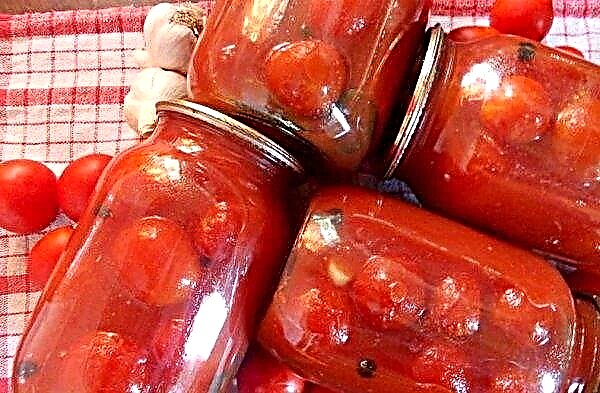 كيفية ملح الطماطم في قدر بطريقة باردة وساخنة: وصفة خطوة بخطوة ، نصائح مفيدة