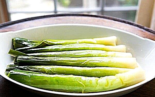 Leek: what portion is eaten, features of application and useful properties for a human body
