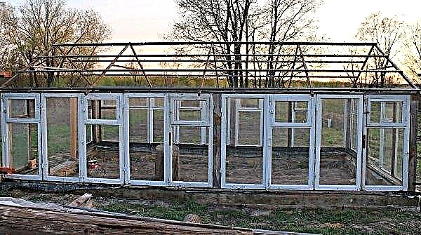 Greenhouse from old window frames with their own hands without foundation, photo