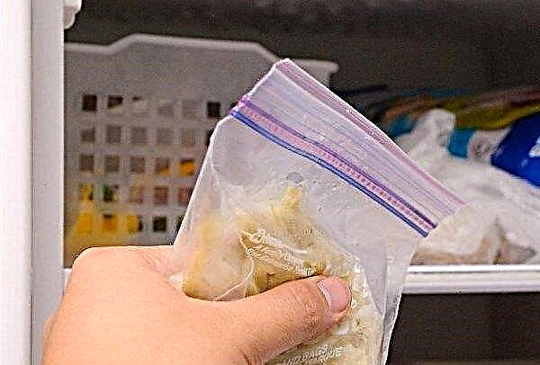 Freezing cabbage: properties, storage methods, step-by-step instructions for freezing