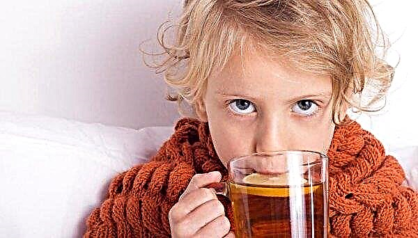 Chá com gengibre e limão para aumentar a imunidade para crianças: métodos de uso, contra-indicações