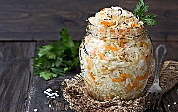 Sauerkraut in diabetes: is it possible or not, characteristic, useful and harmful properties, rules and norms of use