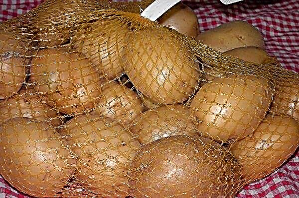 Varieti kentang Agatha: penerangan dan ciri botani, kebaikan dan keburukan, agroteknologi penanaman dan perawatan, foto