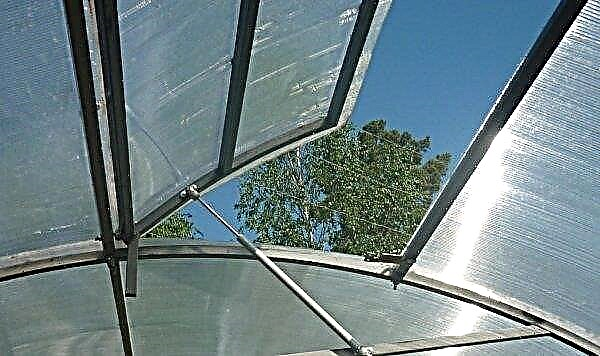 Automatic window for ventilation of polycarbonate greenhouses: device features, do-it-yourself installation, video