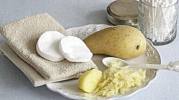 Raw potatoes: is it possible to eat, benefits and harm to the human body, calorie content, features of application