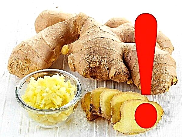 Ginger with a stomach ulcer or duodenal ulcer, is it possible to eat ginger root