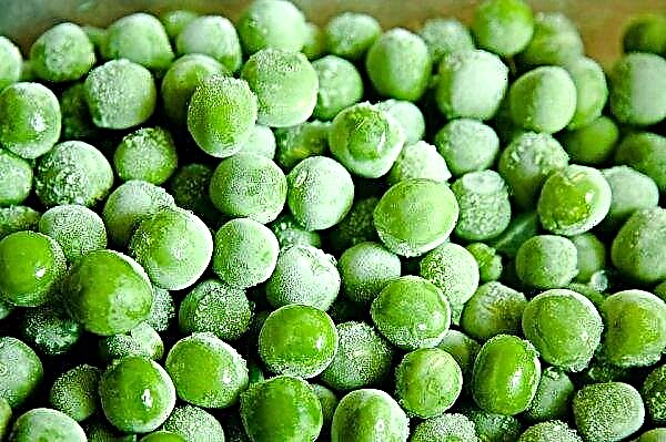 How to freeze peas for the winter at home: simple recipes