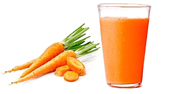 Almidón en zanahorias: porcentaje, consejos de uso
