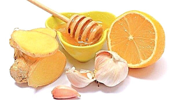 Comment perdre du poids avec du gingembre, du citron et de l'ail: méthodes de préparation et d'utilisation, avis