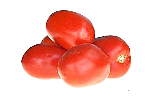 De bedste tomater til et drivhus i Ural: TOP-15 af de bedste sorter og deres beskrivelse med fotos