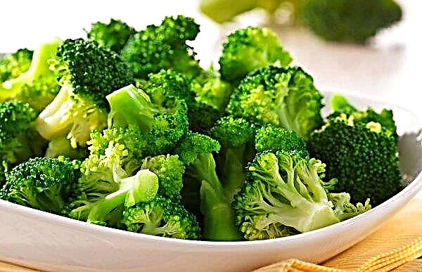 Varieties of cabbage broccoli: description, cultivation, photo titled