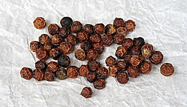 Ground black pepper: benefits and harms to the body, features of use, photo