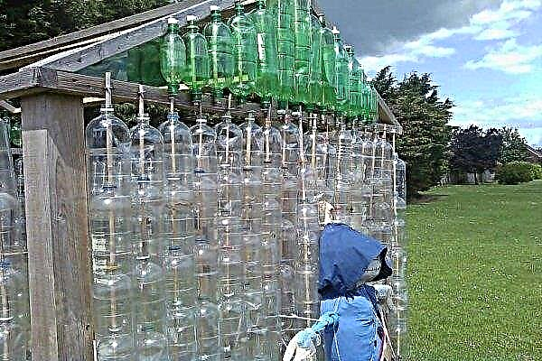 Construire une serre à partir de bouteilles en plastique ou en verre: caractéristiques, comment le faire soi-même, utiliser pour le chauffage, photo