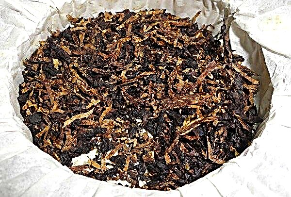 Turkish tobacco: home cultivation and care, collection and further processing