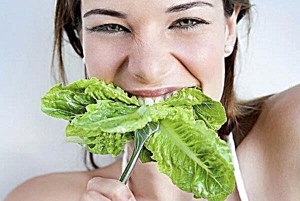 Is it possible to eat cabbage at night: when losing weight, in what form is better to eat