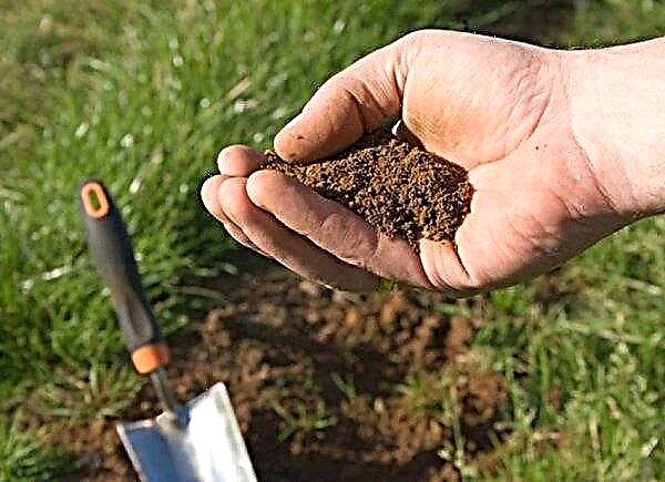 كيفية تقليل حموضة التربة في الحديقة