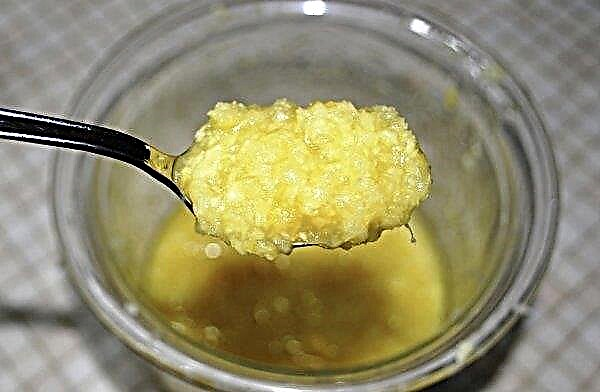 Qué es útil el jengibre con limón y miel: proporciones, métodos de uso, tratamiento, contraindicaciones