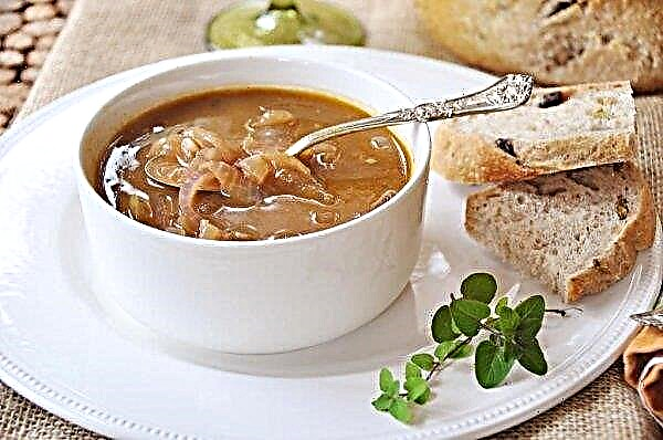 Onion soup for weight loss: useful and harmful properties, calorie content and chemical composition, photo