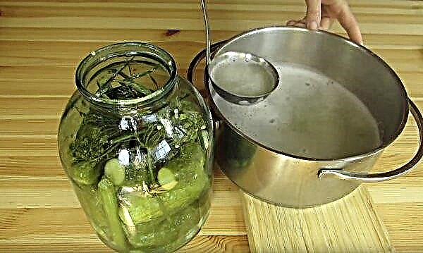Pickles: benefit and harm to the human body, recipe