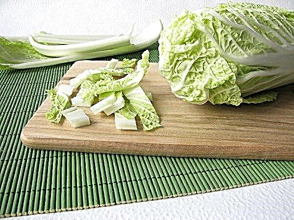 Chinese cabbage: the benefits and harms, the features of use in diseases, with breastfeeding, its calorie content and vitamin composition
