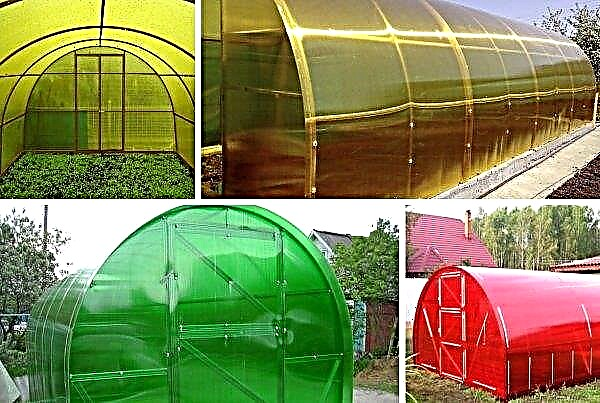 Colored polycarbonate for the greenhouse: the main differences, pros and cons, selection rules