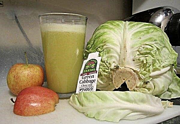 Cabbage juice for gastritis: is it possible to drink, the benefits and harms, consumption norms