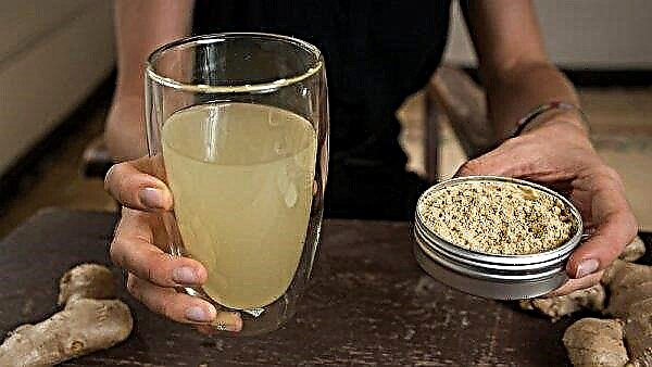 The benefits of ginger root for the vocal cords: tea for rinsing with pharyngitis and laryngitis, recipes