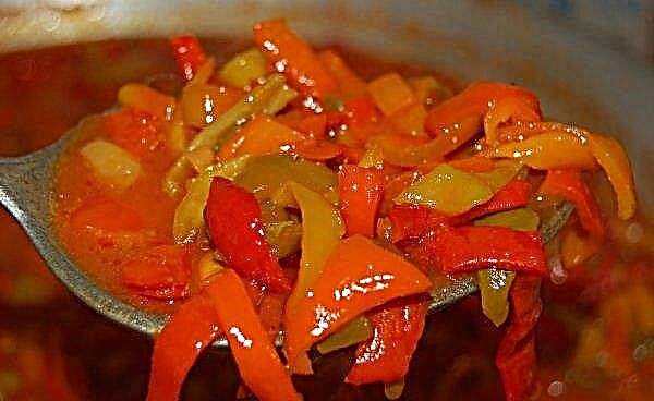 Sladká paprika na zimu: nejchutnější recepty na polotovary s postupným vařením, foto