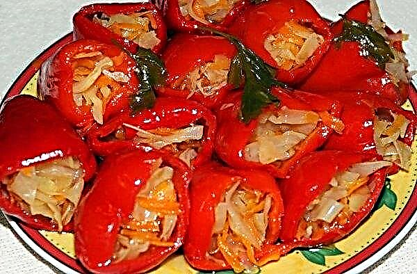 Salting of bell pepper: salting methods, the best recipes with step by step cooking, photos, video