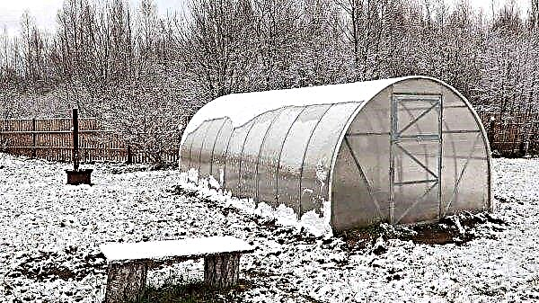 How and how to treat a polycarbonate greenhouse in the fall from pests and diseases: preparing for winter, how to wash and disinfect