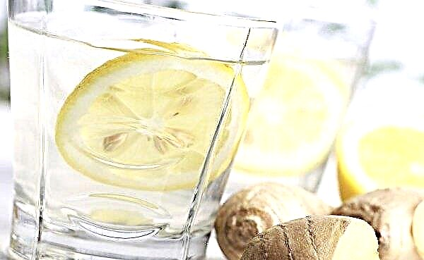 Zázvorovo-citrónová minerálna voda na chudnutie: najlepšie odporúčania