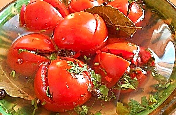 Söta tomater i liter burkar för vintern (inlagd, konserverad)