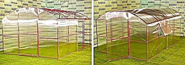 Greenhouse “Kremlin Tale”: advantages and disadvantages, assembly and installation with straight walls, photos, video