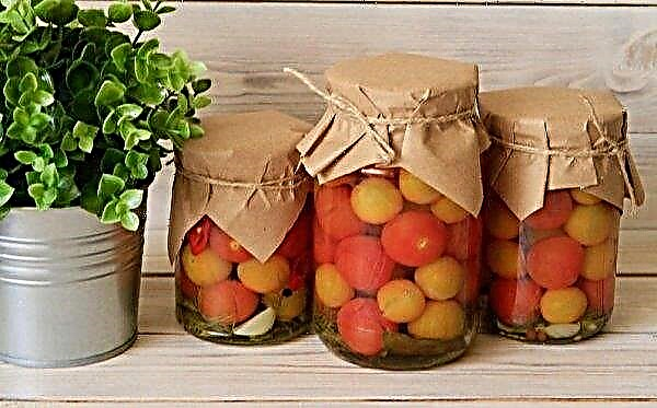 Cherry tomatoes for the winter: tasty preparations (preservation, pickling, pickling): step by step recipes with photos