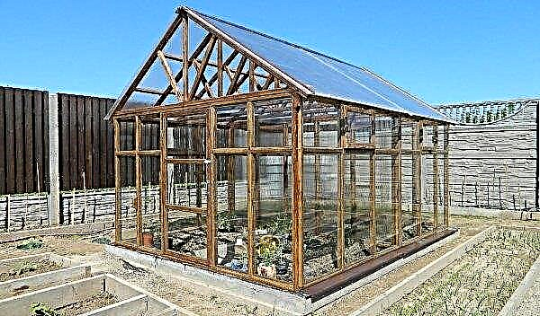 How to make a greenhouse out of timber: how to do it yourself, installation, detailed diagram, photo, video