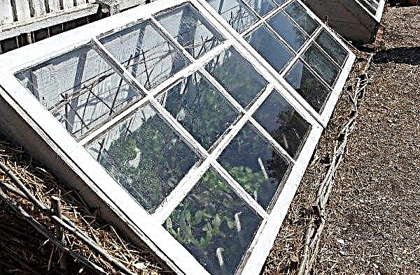 Making a greenhouse from window frames with your own hands: drawings, photos, videos
