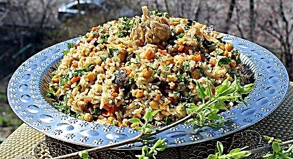 What is Uzbek (Turkish) chickpea - lamb peas: taste, appearance, where and how it grows, description, photo