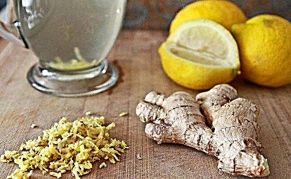 Ginger water - cooking methods: with lemon, honey, cinnamon, use, benefits and harms