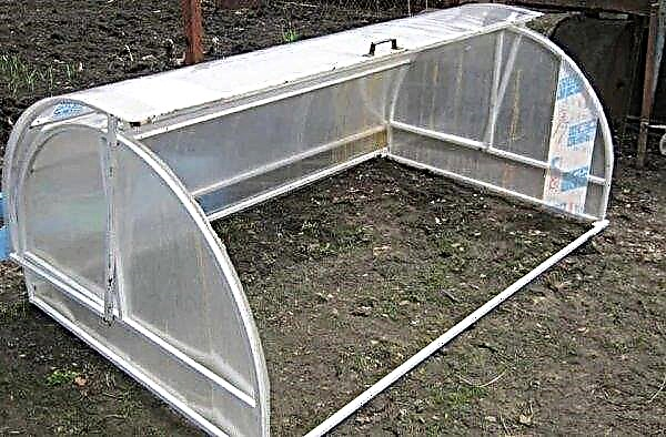 Polycarbonate greenhouses: types, sizes, with a top, how to choose the best or do it yourself, photos, video