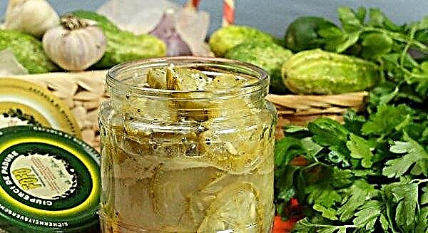 The best recipes for harvesting sliced ​​cucumbers for the winter in jars without sterilization
