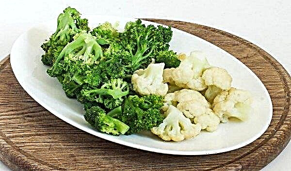 A karfiol és a brokkoli ugyanaz? Leírás és jellemzői zöldségek, fotók