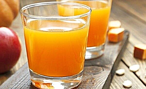 How to make pumpkin juice at home: the best recipes, step-by-step cooking