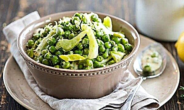 Peas or lentils: which is more useful, the main differences, calorie content, protein composition