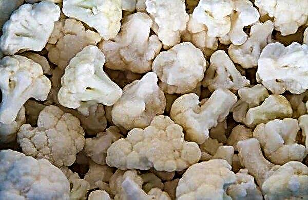 Is it possible to eat cauliflower in its raw form: the benefits and harms of the product, rules and methods of use
