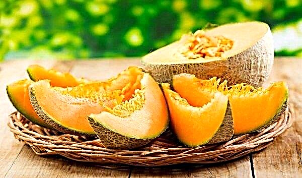 Welche Vitamine enthält Melone und wie ist sie nützlich?