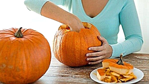 How to dry a pumpkin at home: the main methods, step-by-step drying instructions