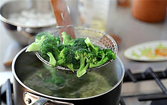 how to steam broccoli in a double boiler