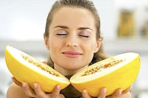 Melone grūtniecības laikā: vai ir iespējams ēst agrīnā un vēlīnā stadijā, ēšanas priekšrocības un kaitējums