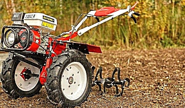 How to plant potatoes with a motoblock: methods and their features, video